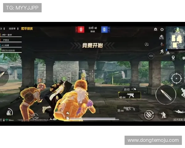 和平精英专题：深入探讨WE战队在游戏中的实力与团队合作精神