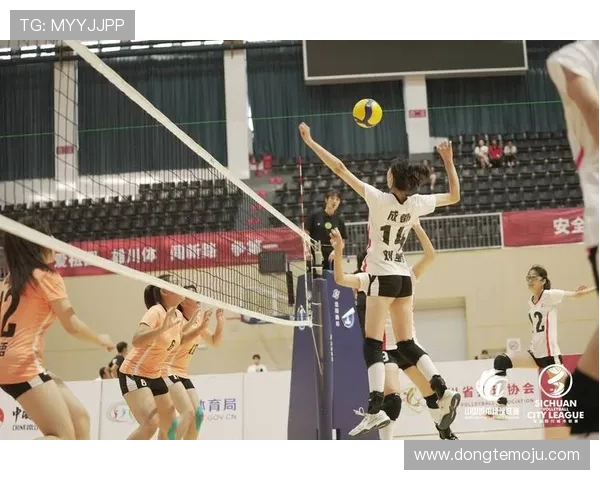 广州排球队在城市联赛中以73分稳居积分榜首位展现强劲实力