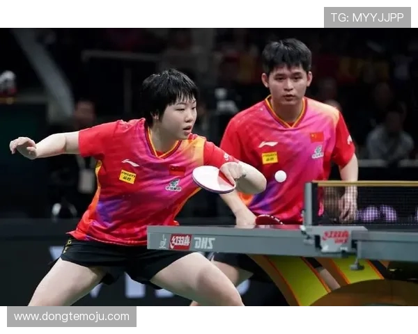 成都乒乓球队总决赛精彩回顾速度表现引发热议与期待