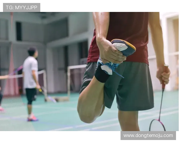 羽毛球技艺探秘：深入解析杭州羽毛球队的防守策略与战术运用