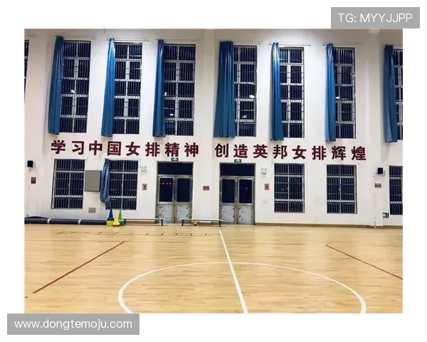 重庆排球队的整体压制革新探索与发展之路分析