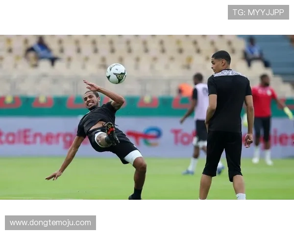 加纳与突尼斯激战正酣赛况分析及精彩瞬间回顾