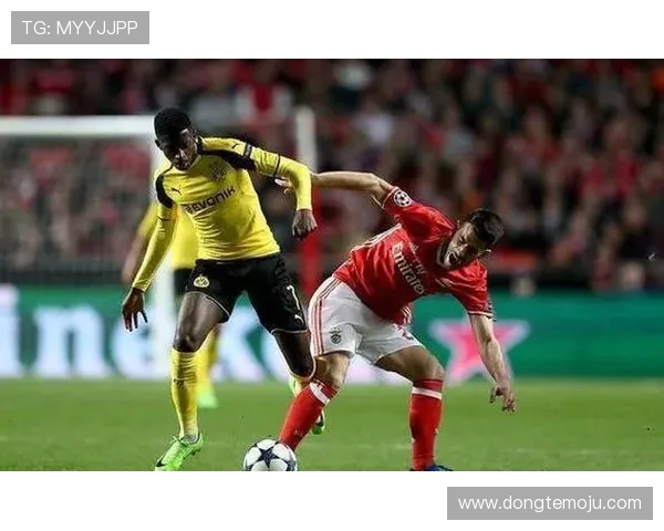 本菲卡主场迎战阿罗卡争夺联赛积分与荣耀之战 本菲卡主场迎战阿罗卡争夺联赛积分与荣耀之战