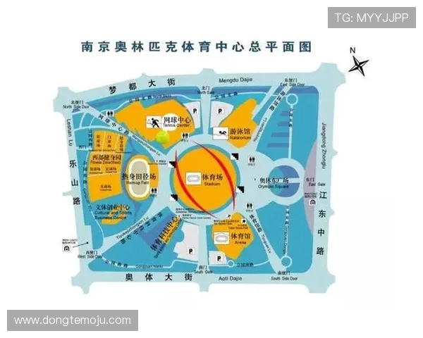 南京网球队运营革新探索新模式助力竞技水平提升与品牌价值增长