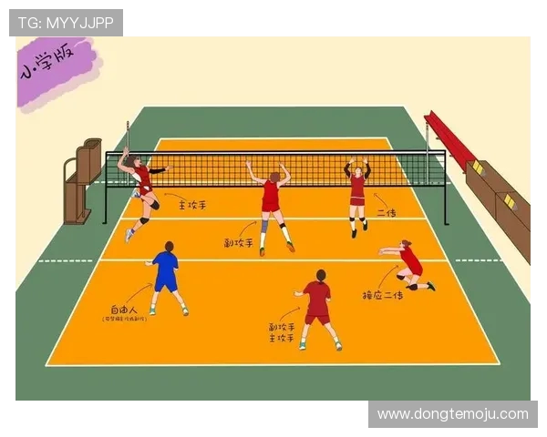 排球巨献：深入解析北京排球队员的个人技术与战术素养