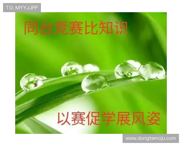 李娜独家分享排球心得与技巧助你提升竞技水平与团队配合能力